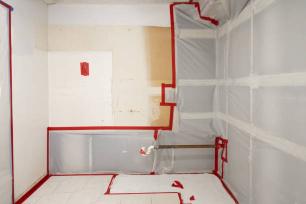 Best Mold-Related Health Consultation  in Grant, MN