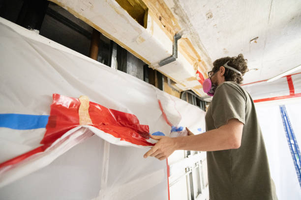 Mold Documentation for Insurance Claims in Grant, MN