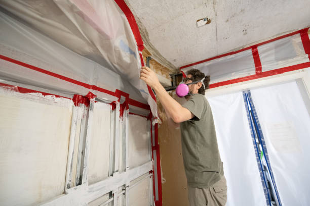 Best Mold Remediation for Healthcare Facilities  in Grant, MN
